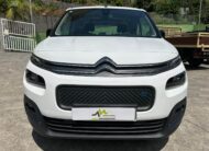Citroen E-Berlingo
