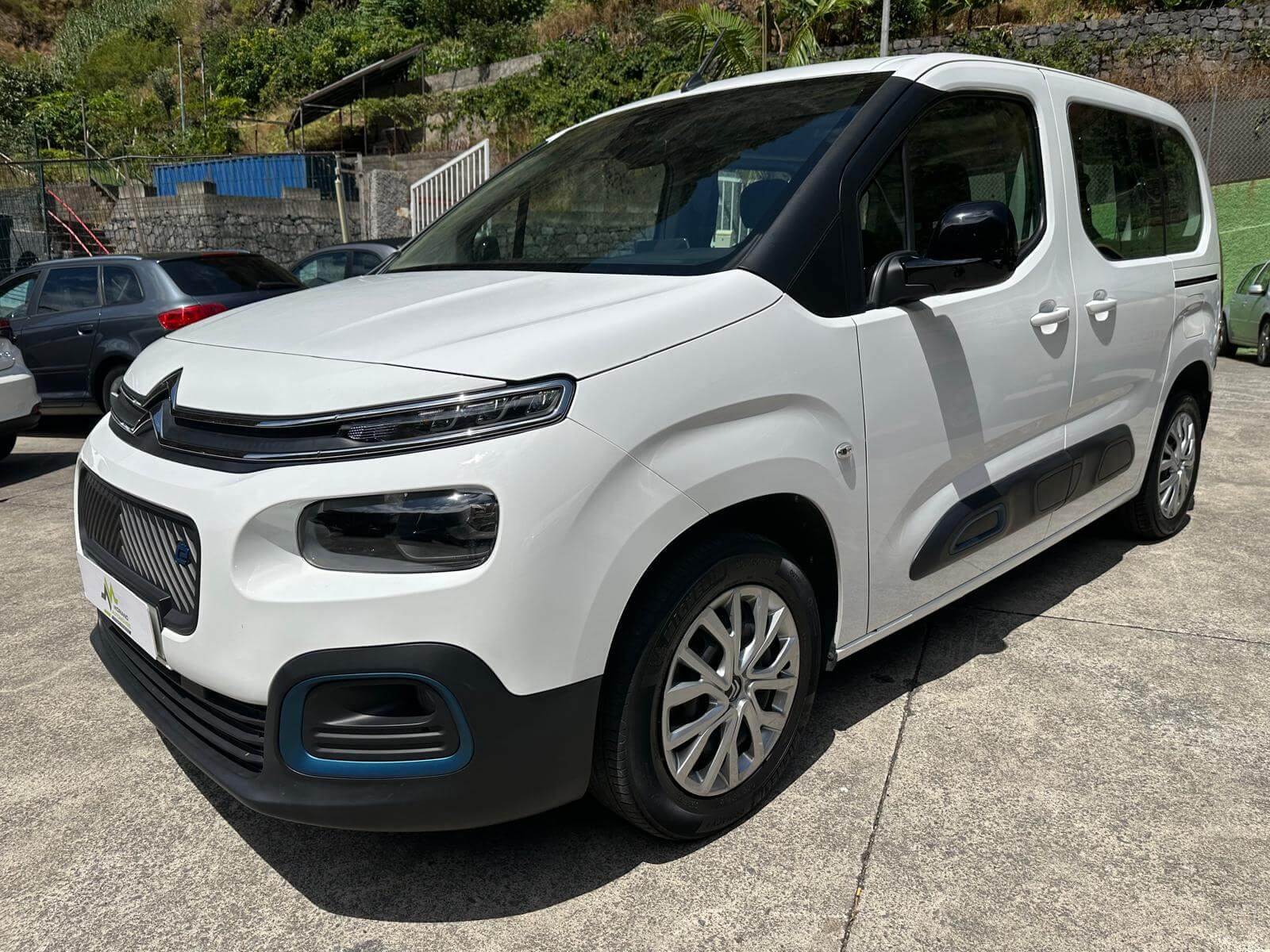 Citroen E-Berlingo